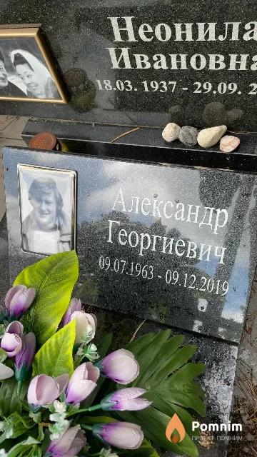 Дементьев Александр Георгиевич