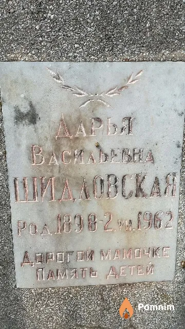 Шидловская Дарья Васильевна