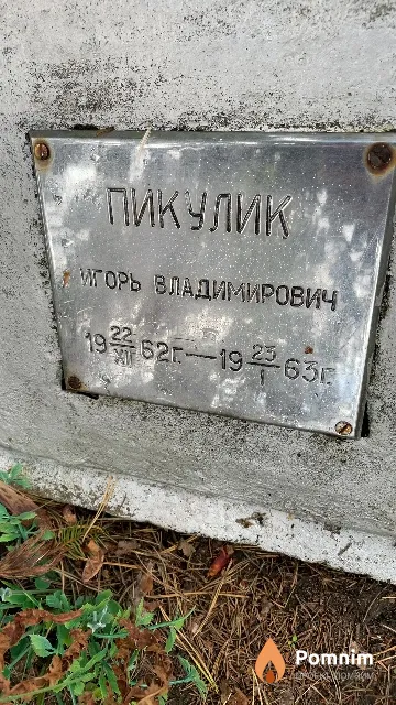 Пикулик Игорь Владимирович