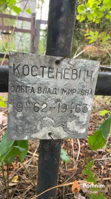 Костеневич Ольга Владимировна