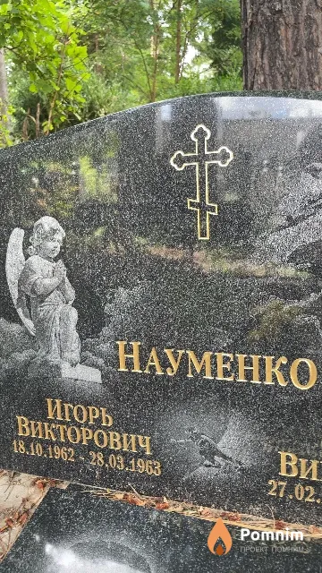 Науменко Игорь Викторович