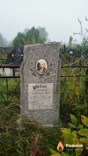 Левин Григорий Моисеевич