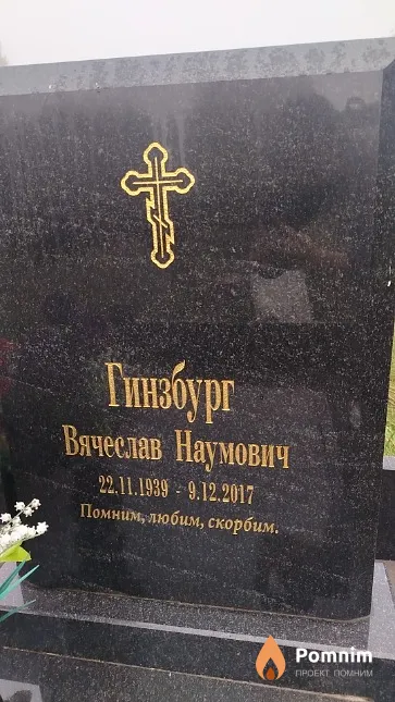 Гинзбург Вячеслав Наумович