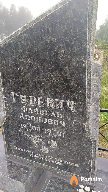 Гуревич Файвель Аронович