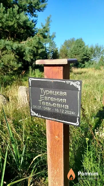 Турецкая Евгения Тевьевна