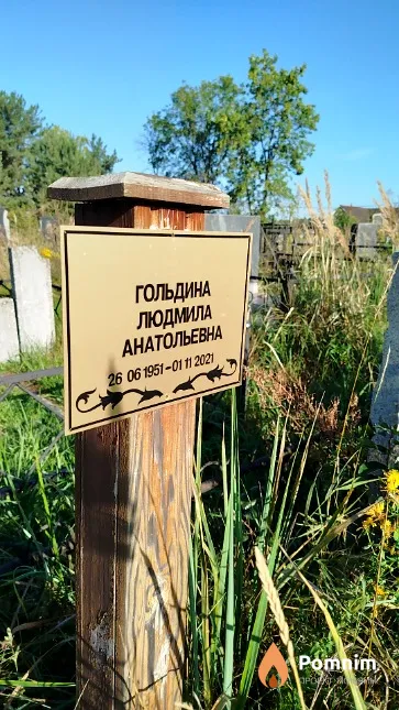 Гольдина Людмила Анатольевна
