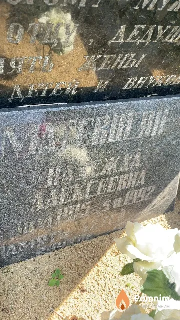 Магевосян Надежда Алексеевна