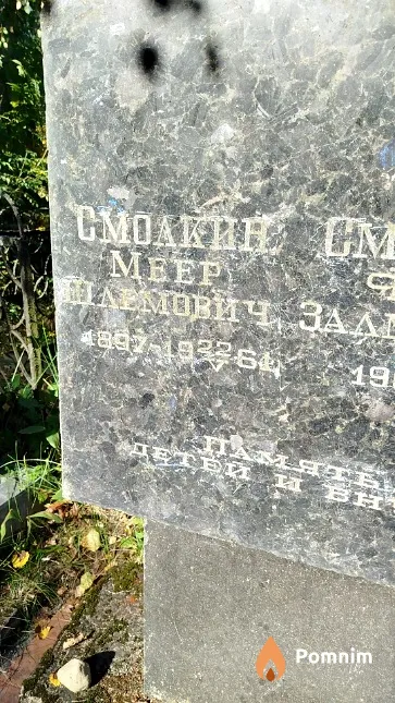 Смолкин Meep Шлемович