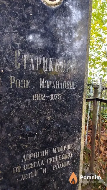 Старикодол Розе Израйловна