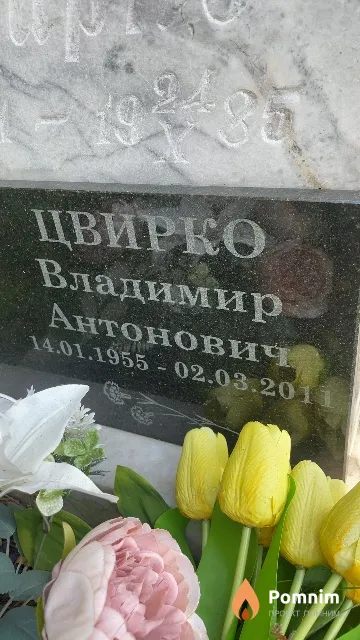 Цвирко Владимир Антонович