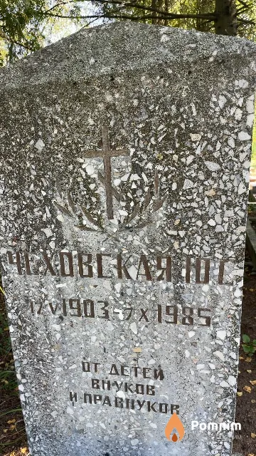 Чеховская Ю С