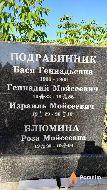 Подрабинник Бася Геннадьевна