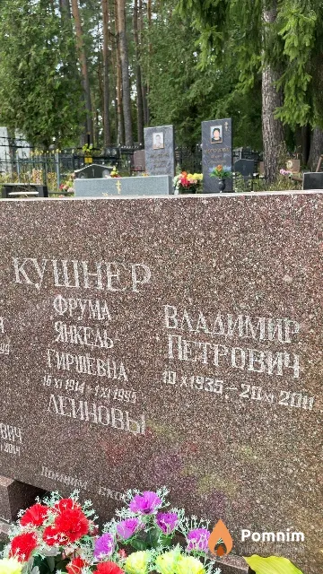 Кушнер Владимир Петрович