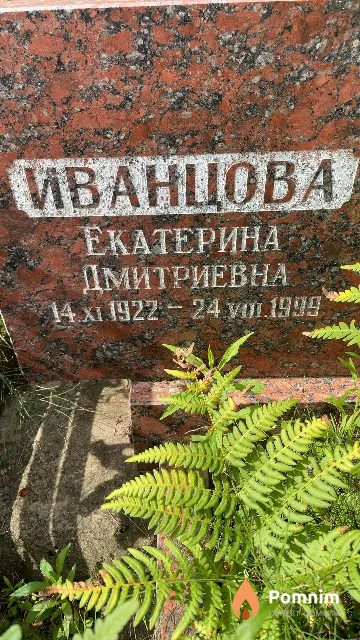 Иванцова Екатерина Дмитриевна