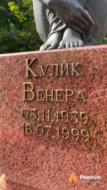 Кулик Венера