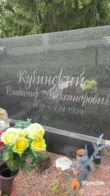 Кучинский Владимир Александрович