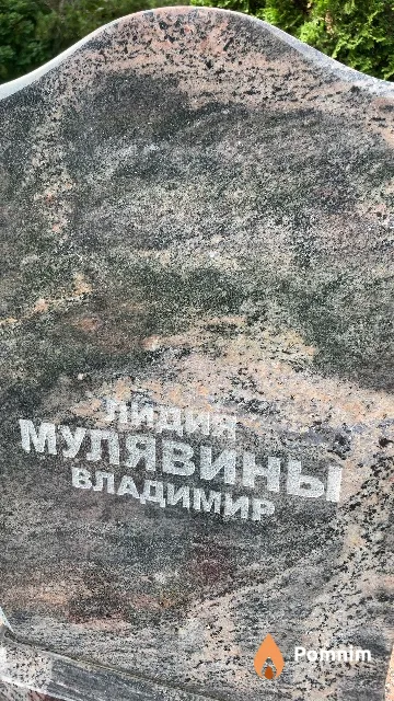Мулявин Владимир