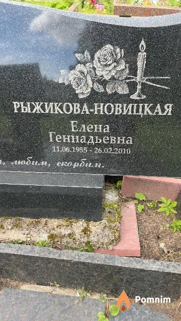 Рыжикова-Новицкая Елена Геннадьевна