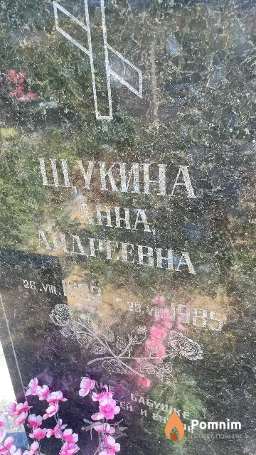 Шукина Анна Андреевна
