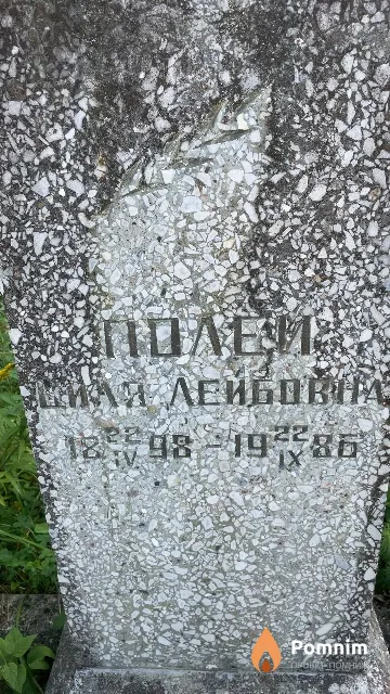 Полей Виля Лейбовна