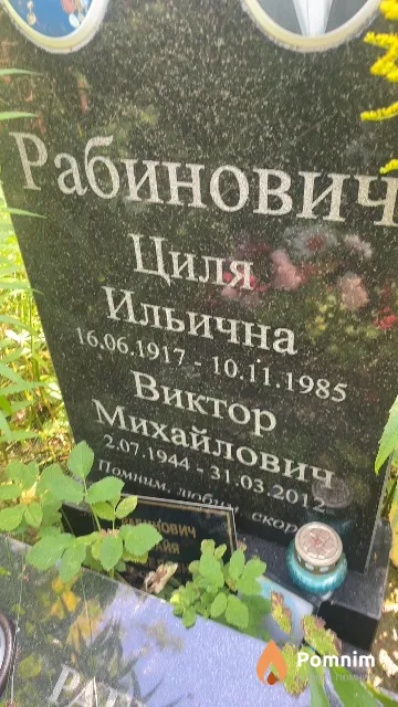 Рабинович Виктор Михайлович