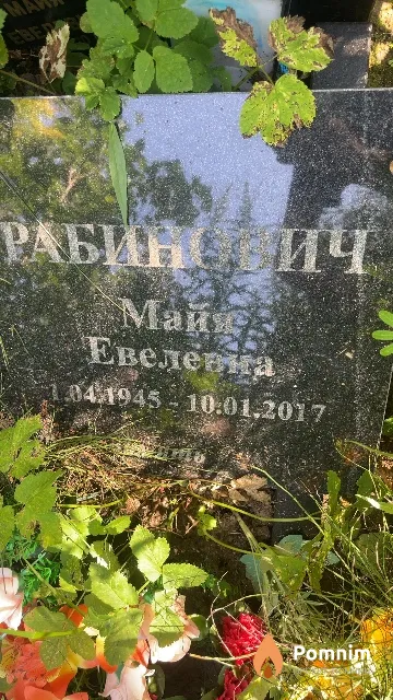 Рабинович Майя Евелевна