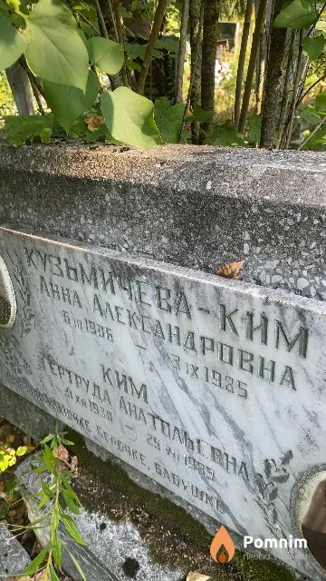 Кузьмичева-Ким Анна Александровна