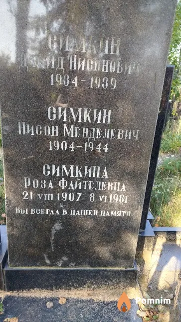 Симкин Нисон Менделевич