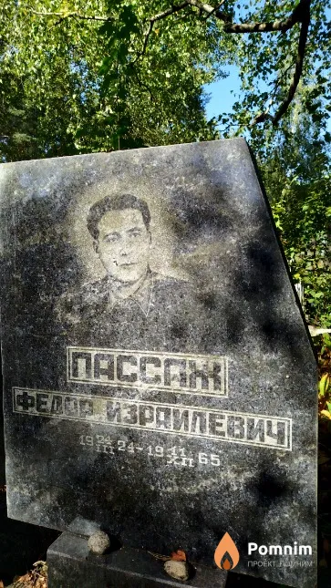 Пассаж Фёдор Израилевич