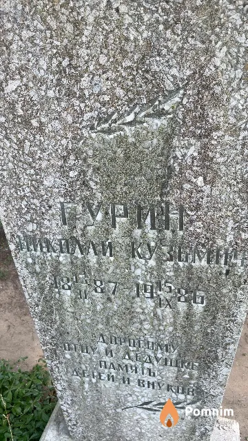 Гурин Николай Кузьмич