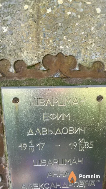 Шварцман Ефим Давыдович