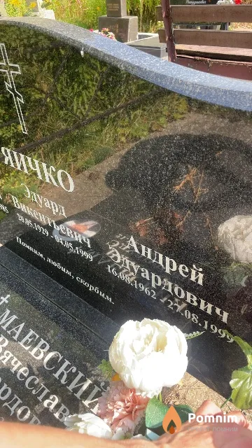 Яичко Андрей Эдуардович