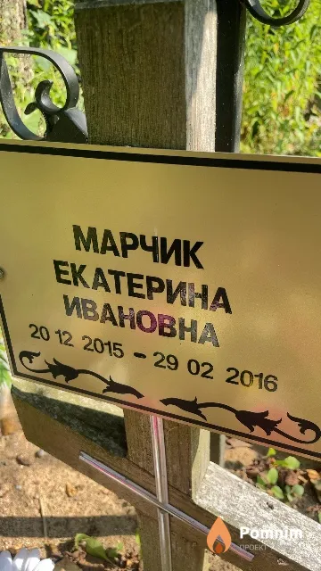 Марчик Екатерина Ивановна