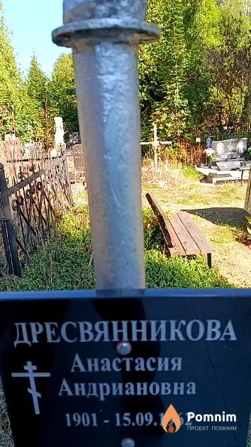 Дресвянникова Анастасия Андриановна