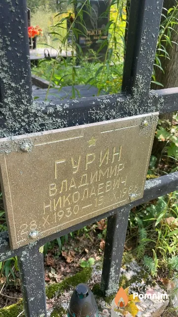 Гурин Владимир Николаевич