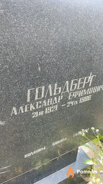Гольдберг Александр Ефимович