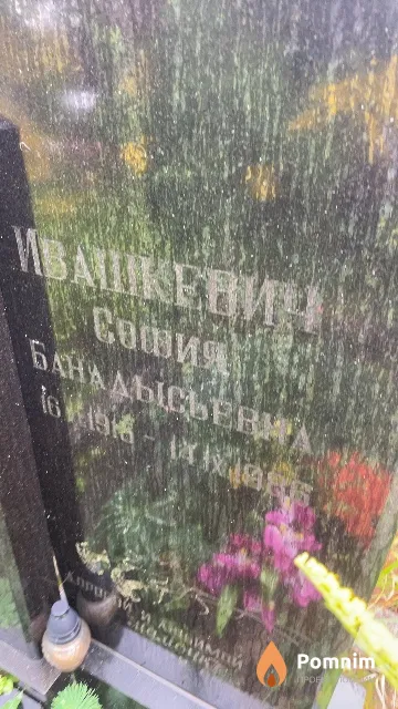 Ивашкевич София Васильевна