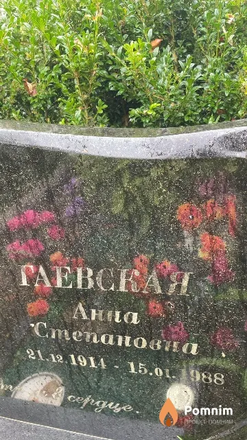 Гаевская Анна Степановна