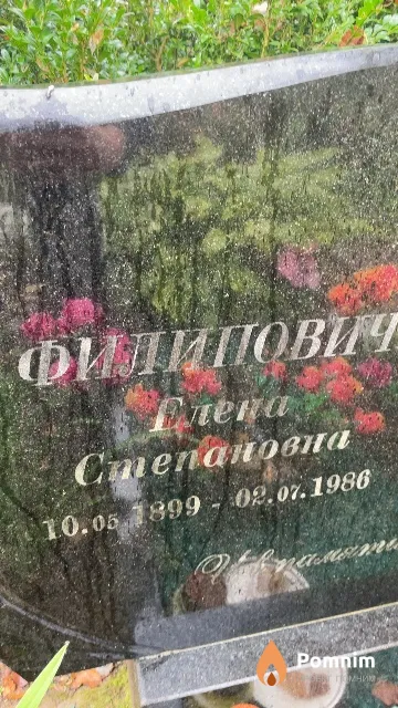 Филипович Елена Степановна