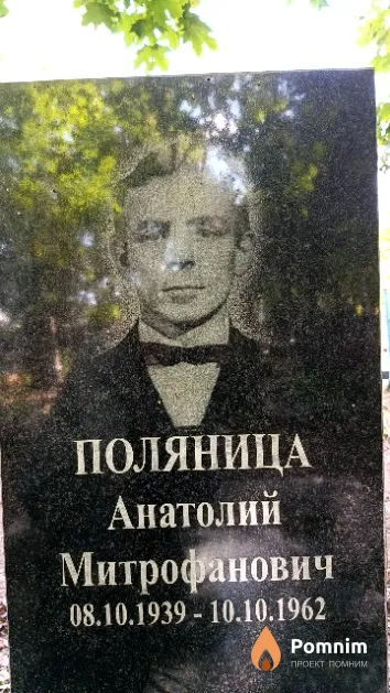 Поляница Анатолий Митрофанович