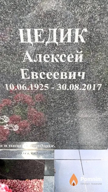 Цедик Алексей Евсеевич