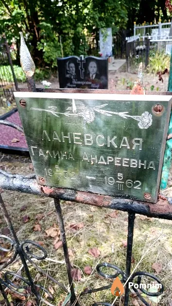 Ланевская Галина Андреевна