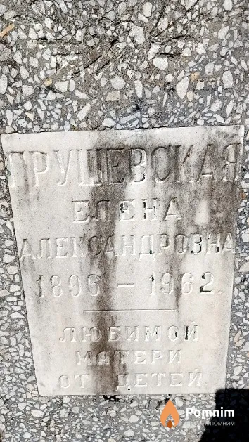 Грушевская Елена Александровна