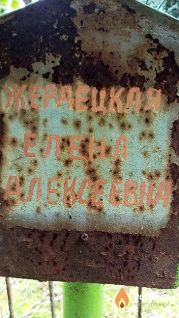 Жердецкая Елена Алексеевна