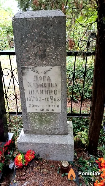 Шапиро Дора Хаймовна