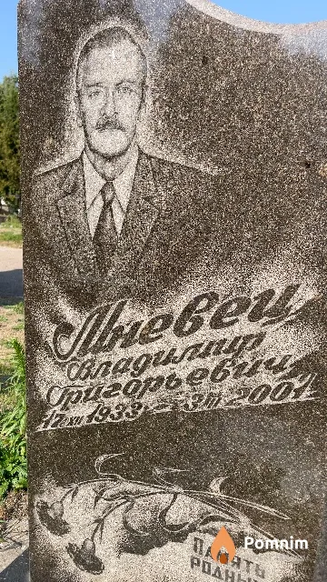 Мневец Владимир Григорьевн