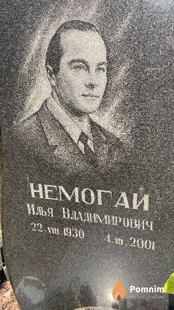 Немогай Илья Владимирович