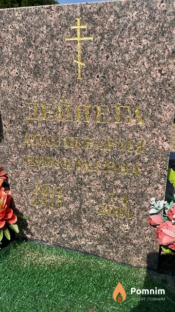 Дейнега Аполинария Николаевна