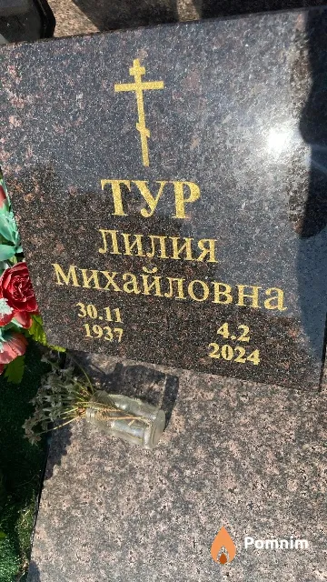 Тур Лилия Михайловна