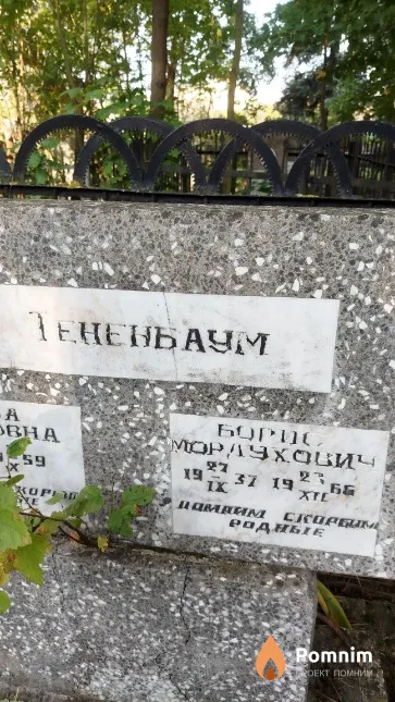 Тененбаум Борис Мордухович